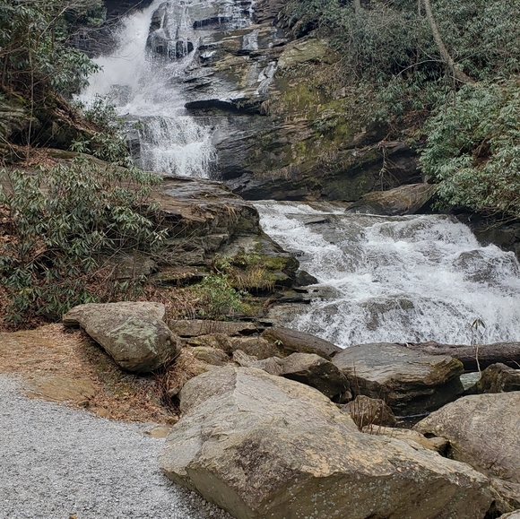 Meet your Posher, Patricia - Picture 6 of 7